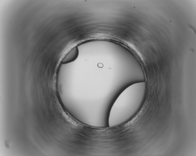 X0000091541421200708171001