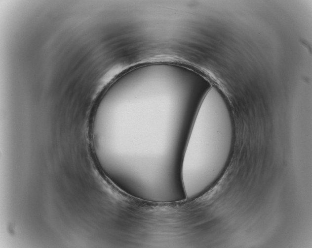 X0000091541422200708171001