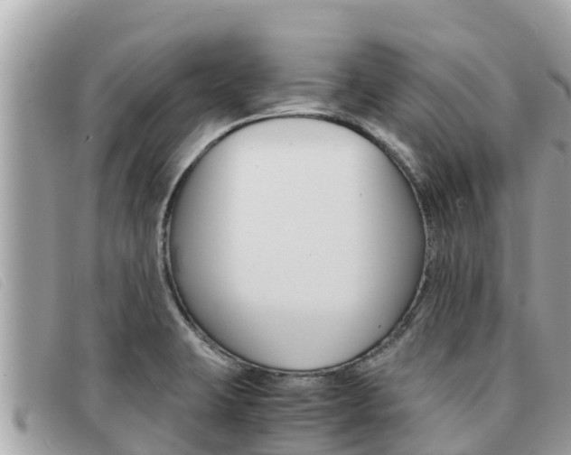 X0000091541423200708171001