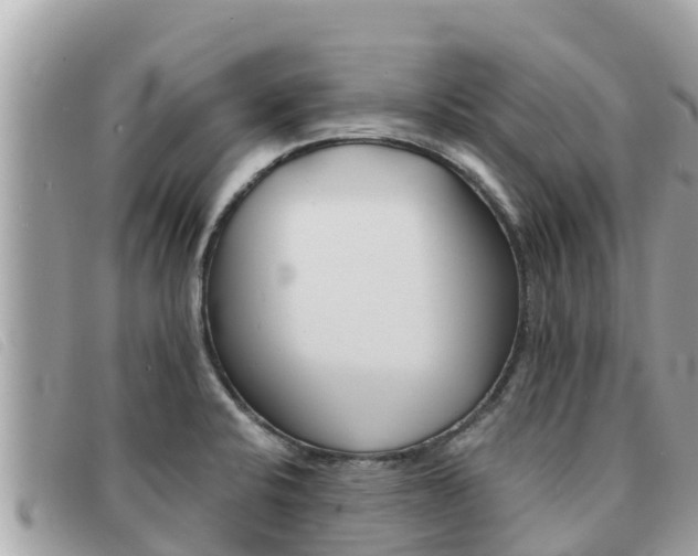 X0000091541424200708171001