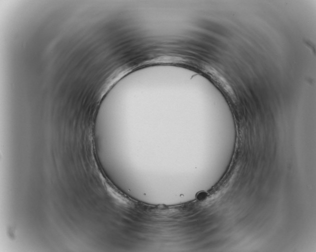 X0000091541425200708171001