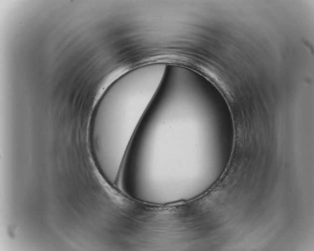 X0000091541426200708171001