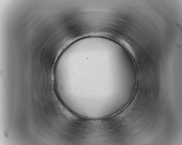 X0000091541428200708171001