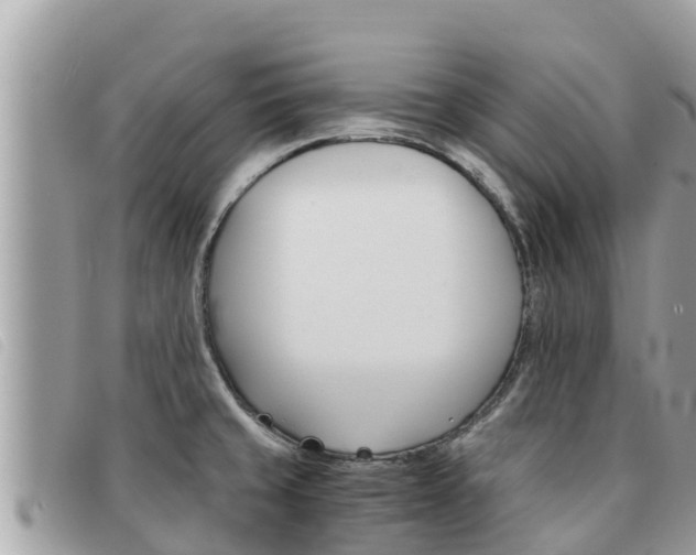 X0000091541429200708171001