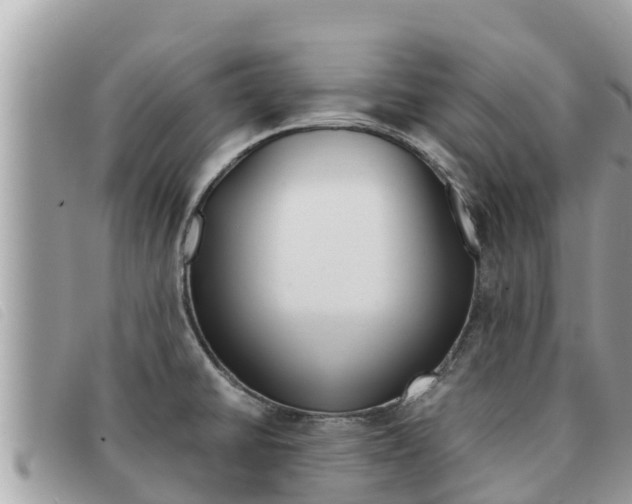 X0000091541430200708171001