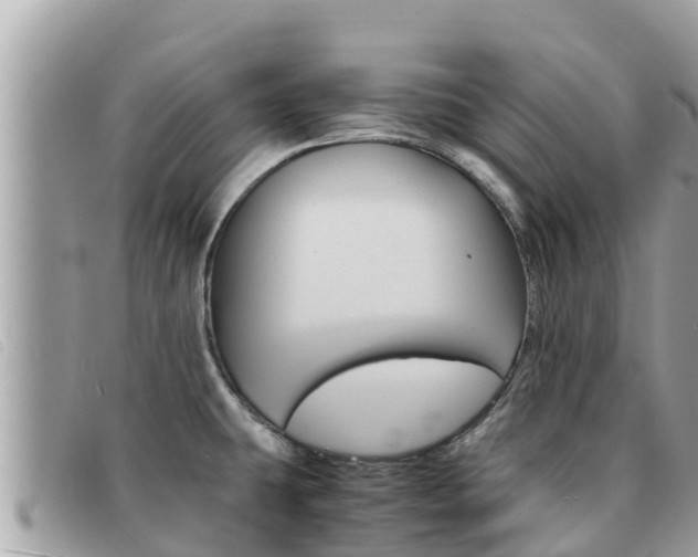 X0000091541431200708171001