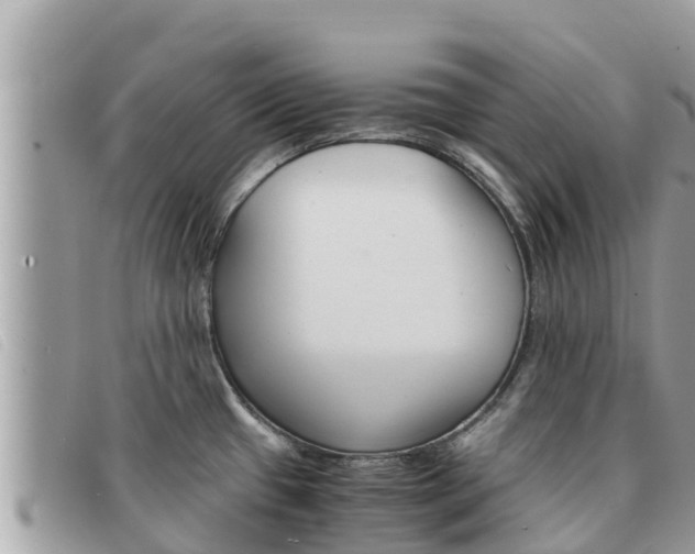 X0000091541433200708171001