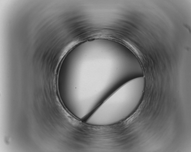 X0000091541434200708171001