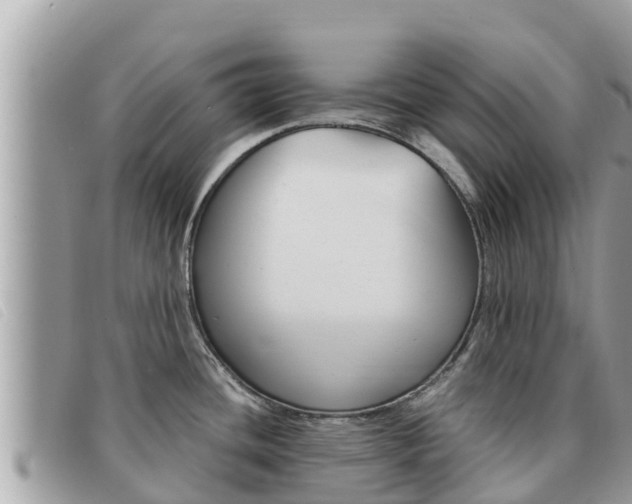X0000091541436200708171001