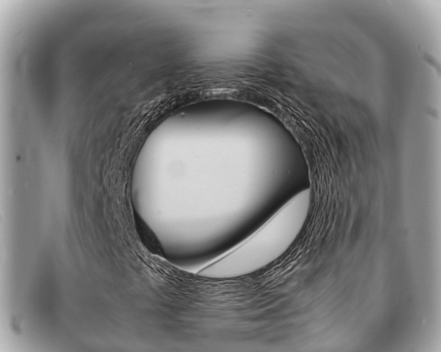 X0000091541441200708171000