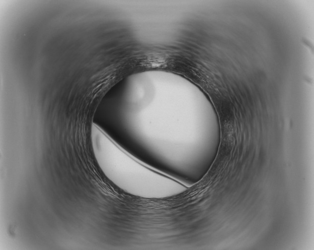 X0000091541442200708171000