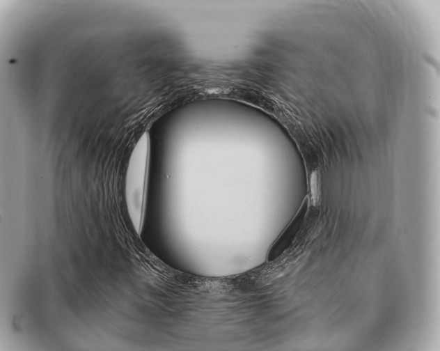 X0000091541443200708171000