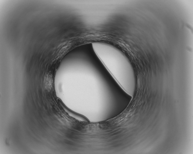 X0000091541444200708171000