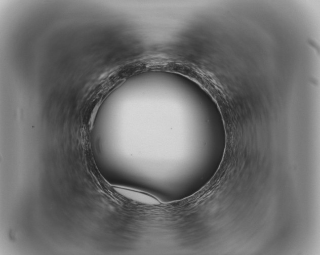 X0000091541445200708171000