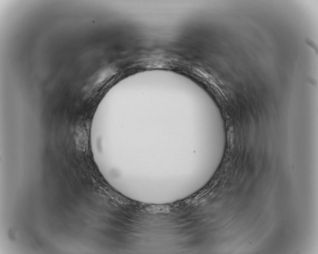 X0000091541446200708171000