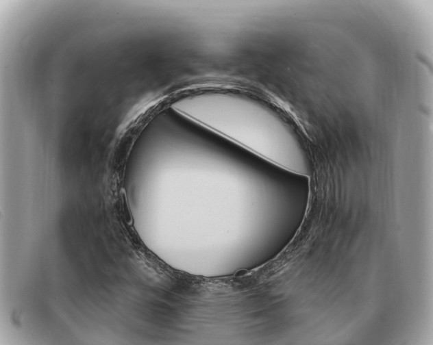X0000091541448200708171000