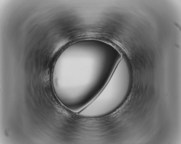 X0000091541450200708171000