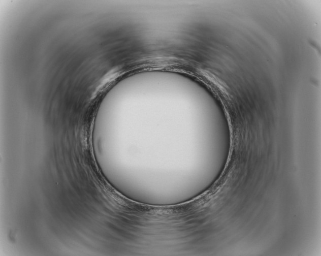 X0000091541451200708171000