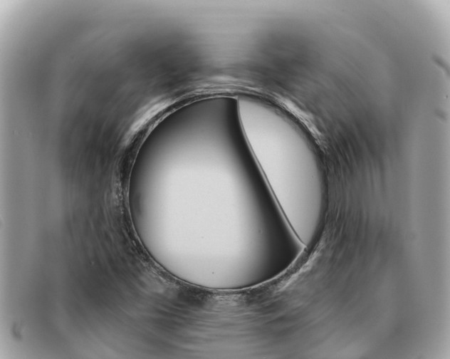 X0000091541453200708171000