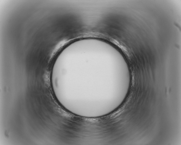 X0000091541454200708171000