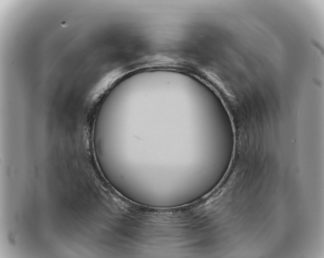 X0000091541455200708171000