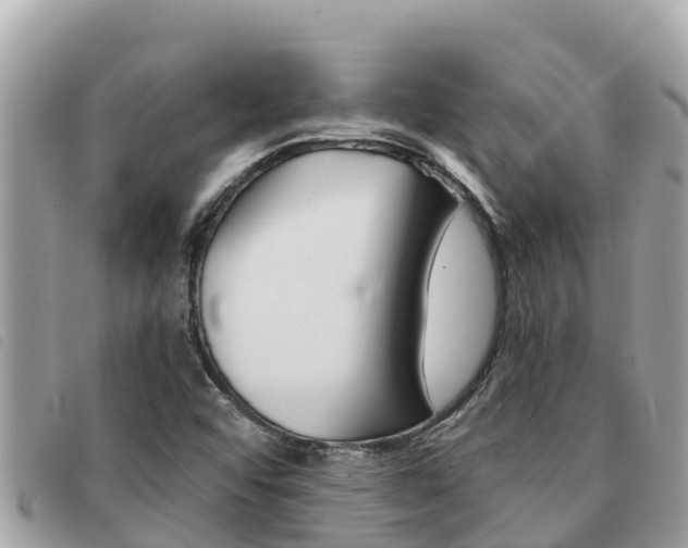 X0000091541456200708171000
