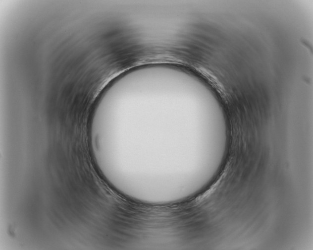 X0000091541457200708171000