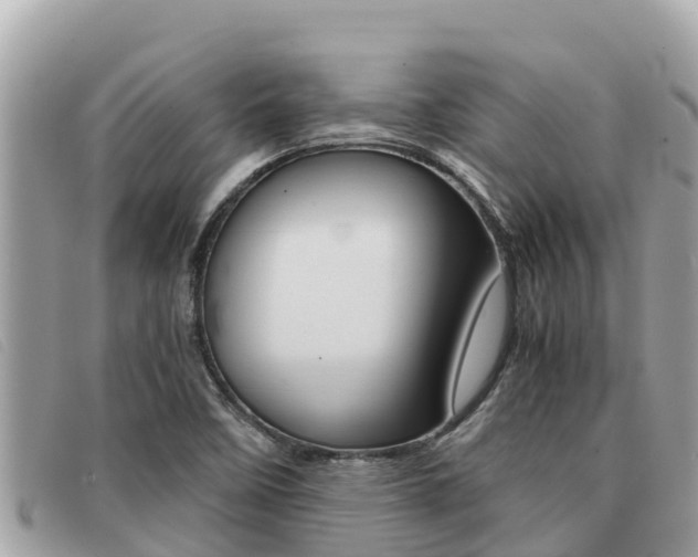 X0000091541458200708171000