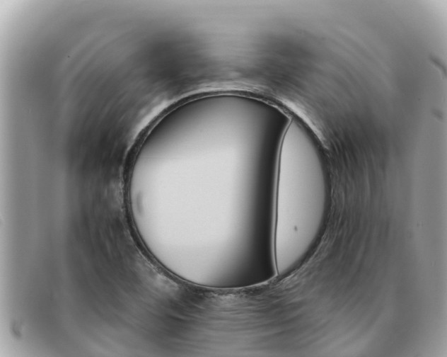X0000091541460200708171000