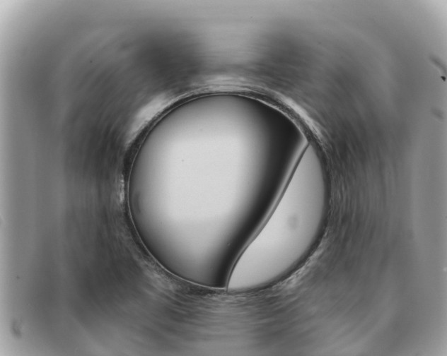X0000091541461200708171000