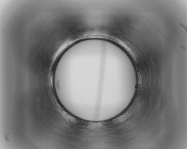 X0000091541462200708171000