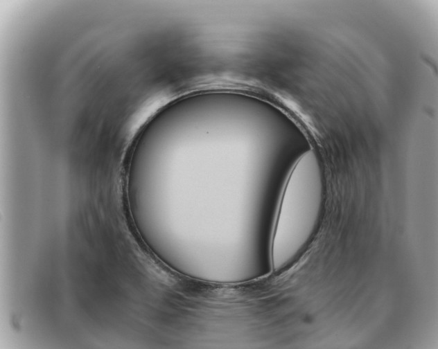 X0000091541463200708171000