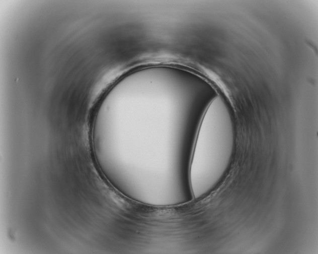 X0000091541464200708171000