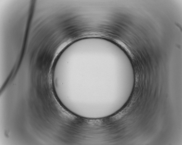 X0000091541466200708171000