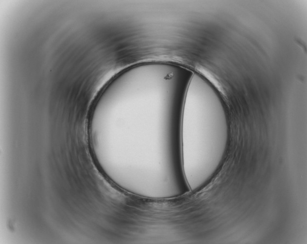 X0000091541468200708171000