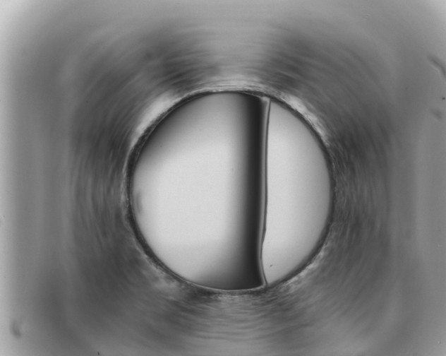 X0000091541469200708171000