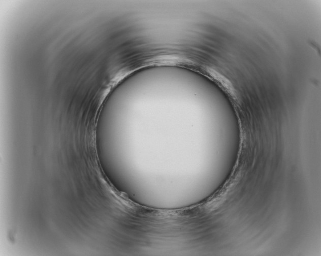 X0000091541473200708171000