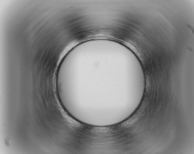 X0000091541474200708171000