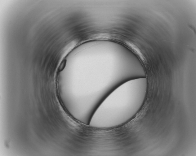 X0000091541475200708171000
