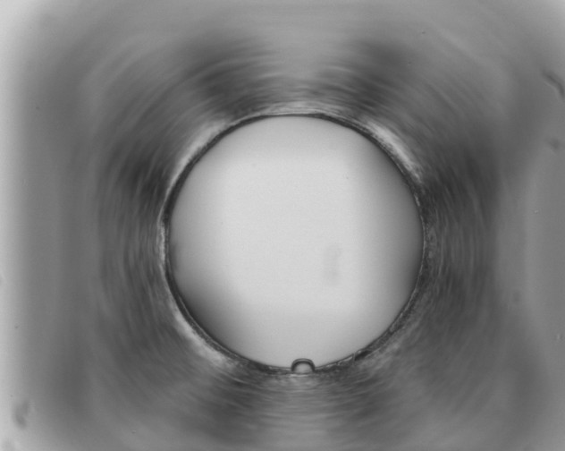 X0000091541476200708171000
