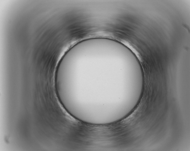 X0000091541477200708171000
