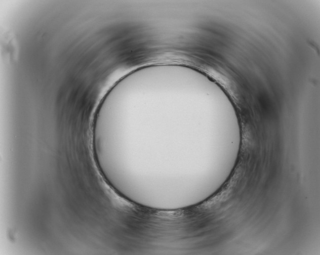 X0000091541478200708171000