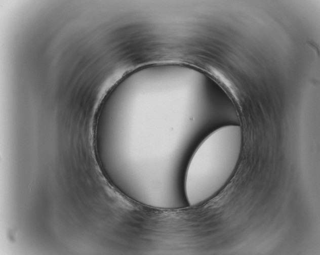 X0000091541480200708171000