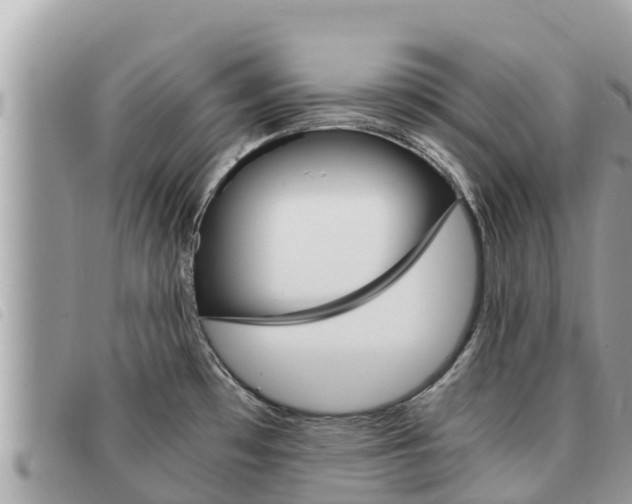 X0000091541481200708171000