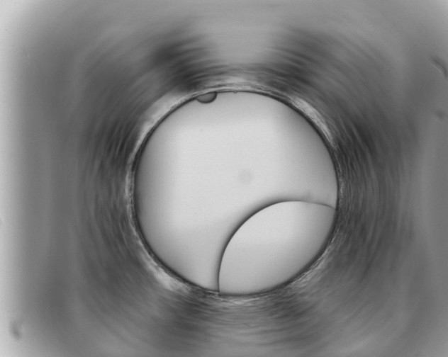 X0000091541482200708171000