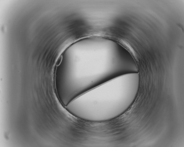 X0000091541483200708171000