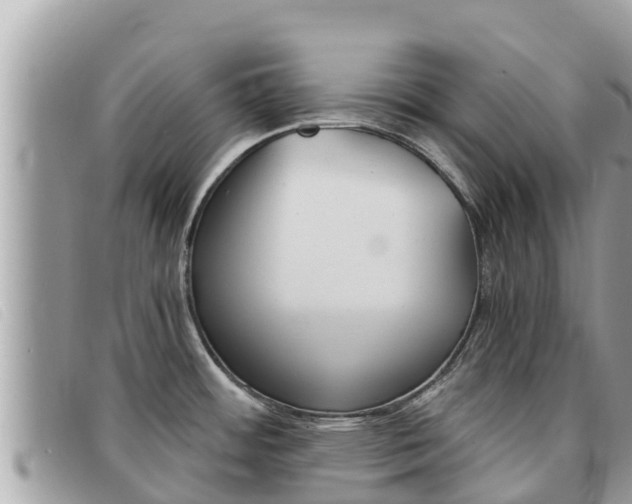 X0000091541484200708171000