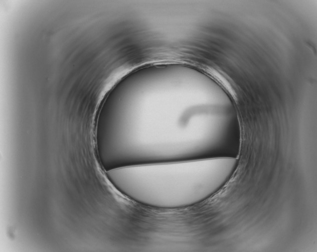 X0000091541485200708171000