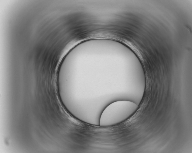 X0000091541486200708171000