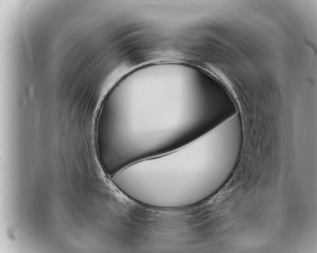 X0000091541488200708171000